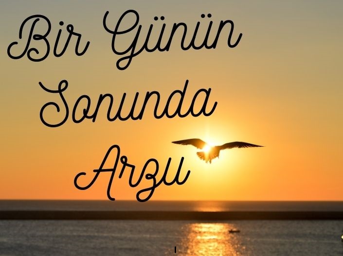 Bir Günün Sonunda Arzu Şiiri Açıklaması