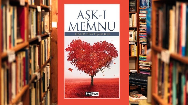 Aşk-ı Memnu Romanı Özeti