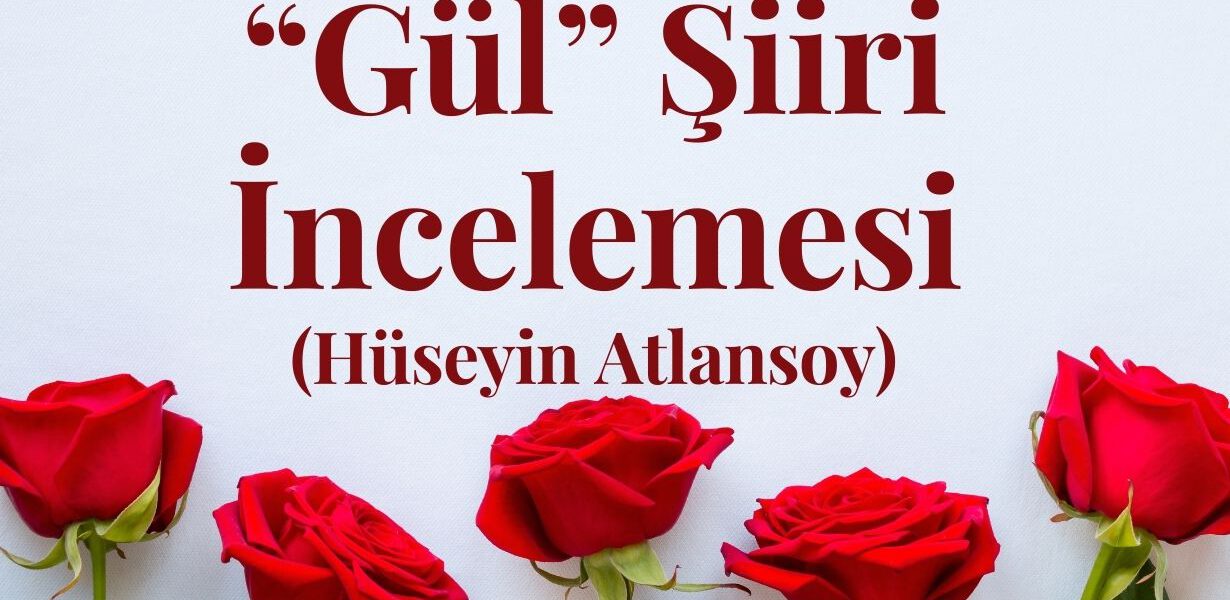 Gül Şiiri İncelemesi Tahlili Ne Anlatıyor Teması ve Konusu Nedir (Hüseyin Atlansoy)