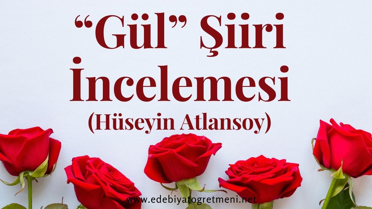 Gül Şiiri İncelemesi Tahlili Ne Anlatıyor Teması ve Konusu Nedir (Hüseyin Atlansoy)